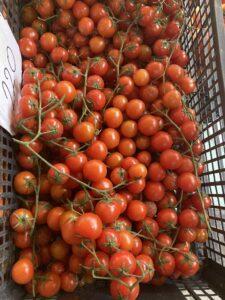 Cherry Tomatoes-Sapori-Beautiful Vlora