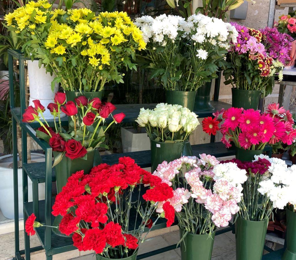 Aulona Flowers-cut flowers-Beautiful Vlora