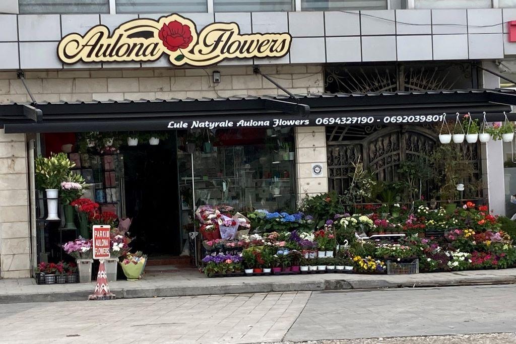 Aulona Flowers in Vlora-Flag Square location-Beautiful Vlora