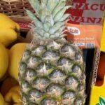 Pineapple-Beautiful Vlora