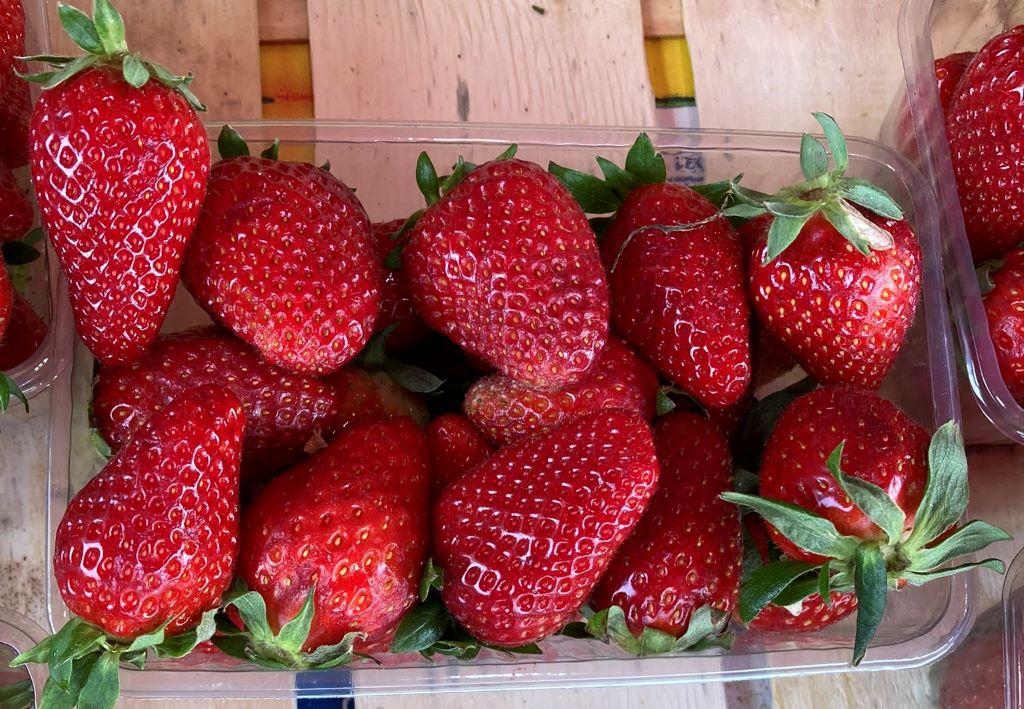 Strawberries-Beautiful Vlora