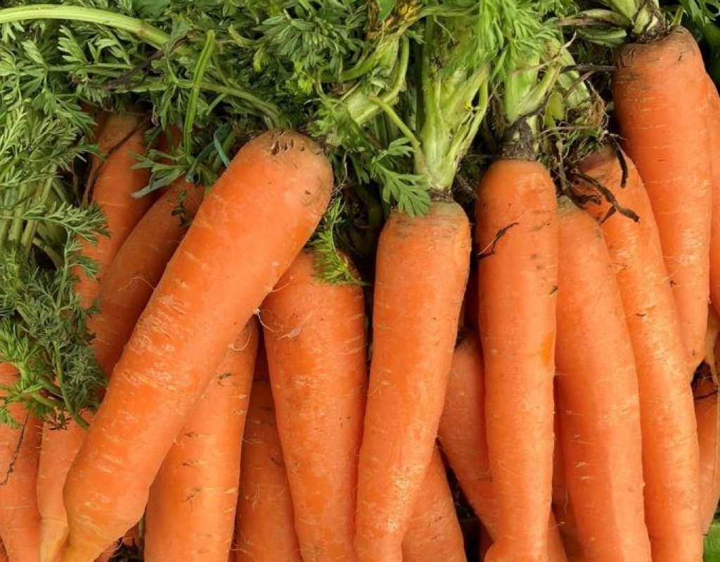 Produce in the Market-Carrots-Beautiful Vlora